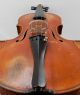 Cajetanus Sgarabotto Old Italian Master Violin Labeled Antique 4/4 String photo 2
