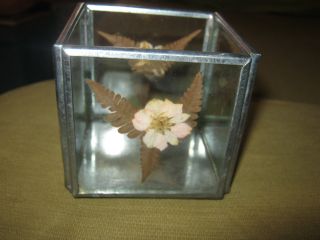 Vtg Hippie Candle Holder Herbarium Dried Flowers Pansy Inlaid In Glass Metal 3 