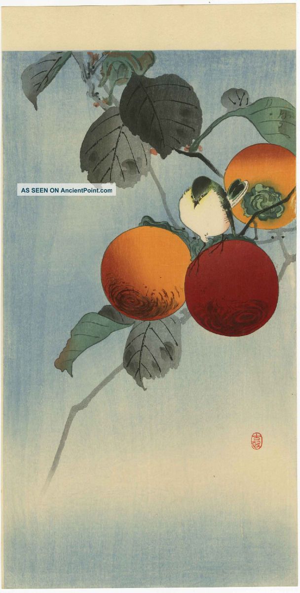 Koson Japanese Woodblock Print Bird On Persimmon 1920s Prints photo