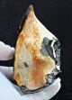 Large Lower Acheulian End Scraper,  Found Nr Swanscombe,  Kent,  A39 Neolithic & Paleolithic photo 4