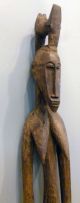 Senufo African Figure Couple Rhythm Pounder Male Female Statue Ethnix Sculptures & Statues photo 4