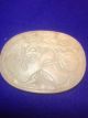 Chinese Antique Qing Dynasty 19th Century Twin Plum Jade Plaque Other photo 5