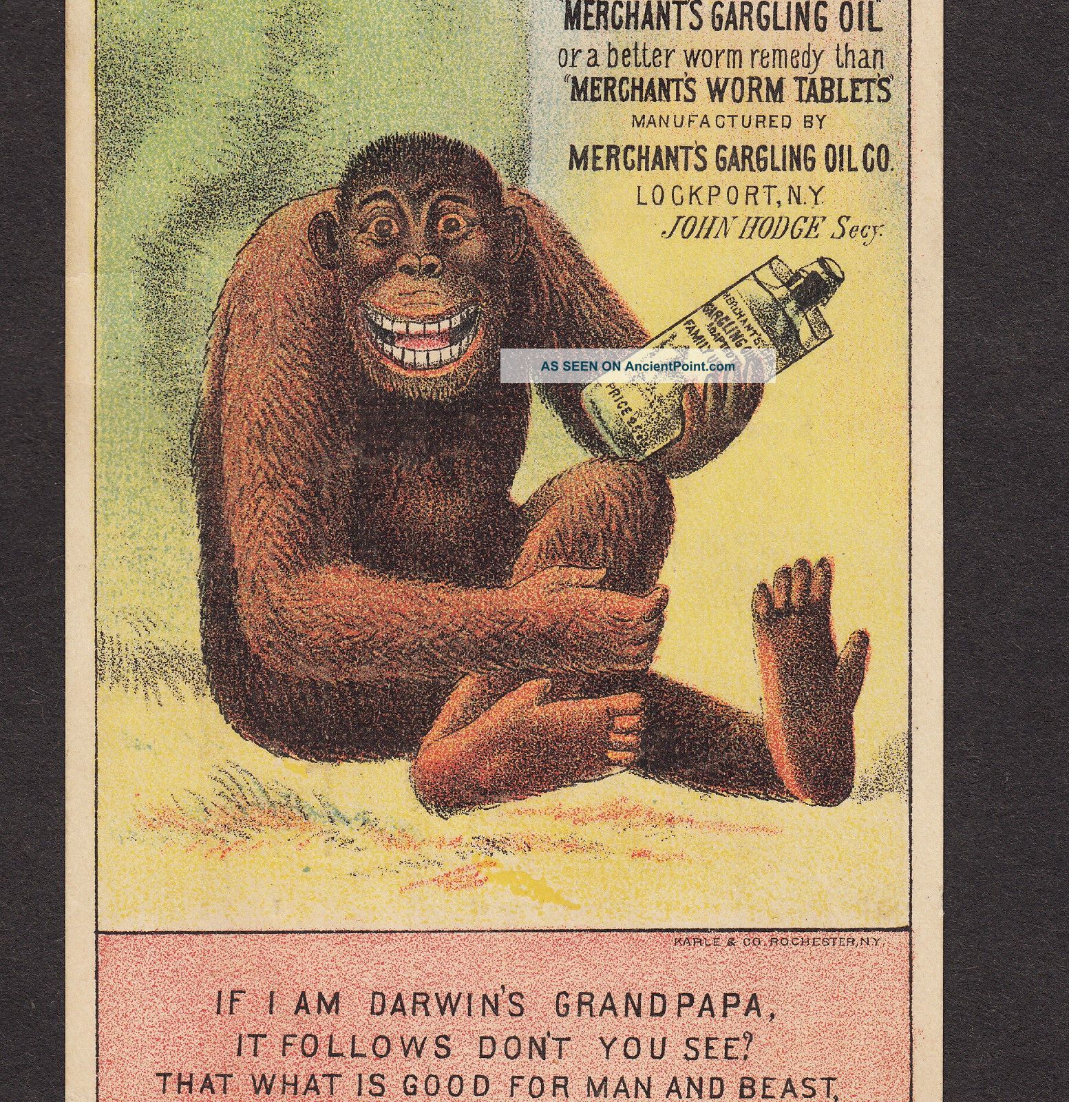 Darwin Evolution Man & Beast Ape Poem Merchants Gargling Oil Cure Medicine Card Quack Medicine photo
