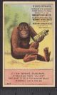 Darwin Evolution Man & Beast Ape Poem Merchants Gargling Oil Cure Medicine Card Quack Medicine photo 1