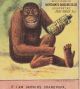 Darwin Evolution Man & Beast Ape Poem Merchants Gargling Oil Cure Medicine Card Quack Medicine photo 4