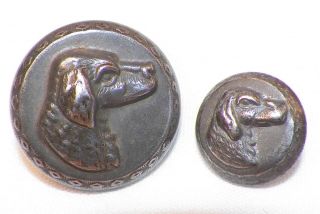 2 Antique Dog Head Picture Buttons Silvertone Metal Victorian 1 Large 1 Small photo