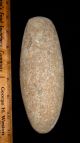Huge Choice Sahara Neolithic Celt,  Axe,  Collectible Prehistoric African Artifact Neolithic & Paleolithic photo 1