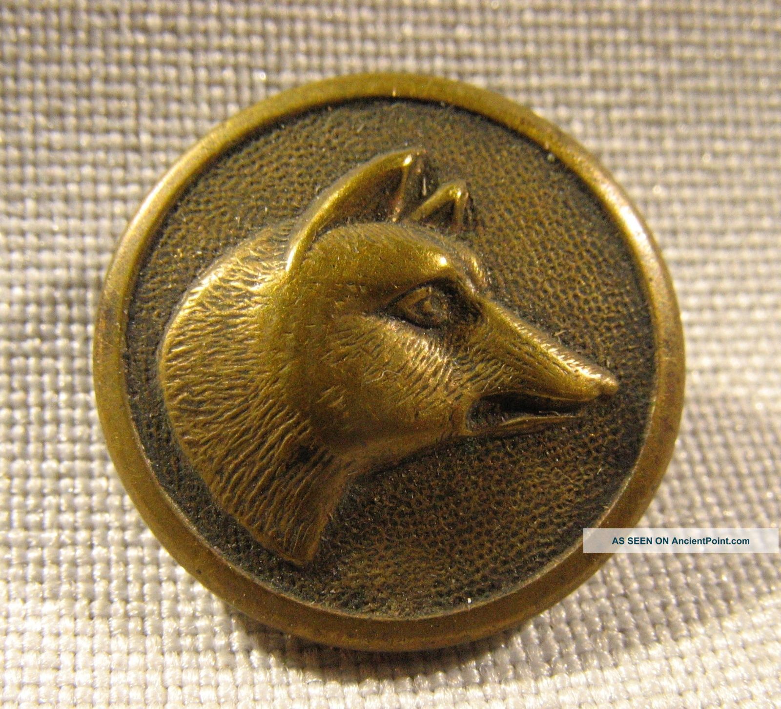 Fine Hunting Dogs Head Antique Brass Picture Button Buttons photo