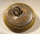 Fine Hunting Dogs Head Antique Brass Picture Button Buttons photo 1