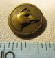Fine Hunting Dogs Head Antique Brass Picture Button Buttons photo 2