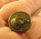 Fine Hunting Dogs Head Antique Brass Picture Button Buttons photo 3