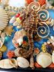 Seahorse & Seashells Sailor’s Valentine Early Handcrafted Nautical Memory Art Folk Art photo 1