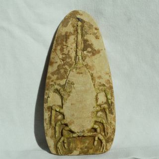 Ancient Egyptian Scorpion Trade Weight Old Kingdom - 500 Bc photo