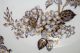 4 Wedgwood Pearl Plates Rose & Jessamine Mulberry Purple Gold 9.  25 