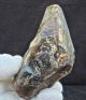 Lower Acheulian,  Small Partially Bifaced Handaxe,  From Kent,  A445 Neolithic & Paleolithic photo 2
