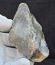 Lower Acheulian,  Small Partially Bifaced Handaxe,  From Kent,  A445 Neolithic & Paleolithic photo 3