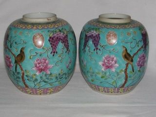 Antique 19th Century Chinese Turquoise Ground Empress Dowager Ginger Jar 1 photo