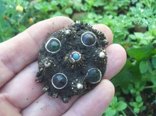 Merovingian?gold Gilded Silver Huge Brooch With Color Stones photo