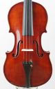 Rare Antique Italian - Girardi Carillo Anno 1911 Labeled 4/4 Old Master Violin String photo 1