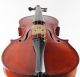 Rare Antique Italian - Girardi Carillo Anno 1911 Labeled 4/4 Old Master Violin String photo 3