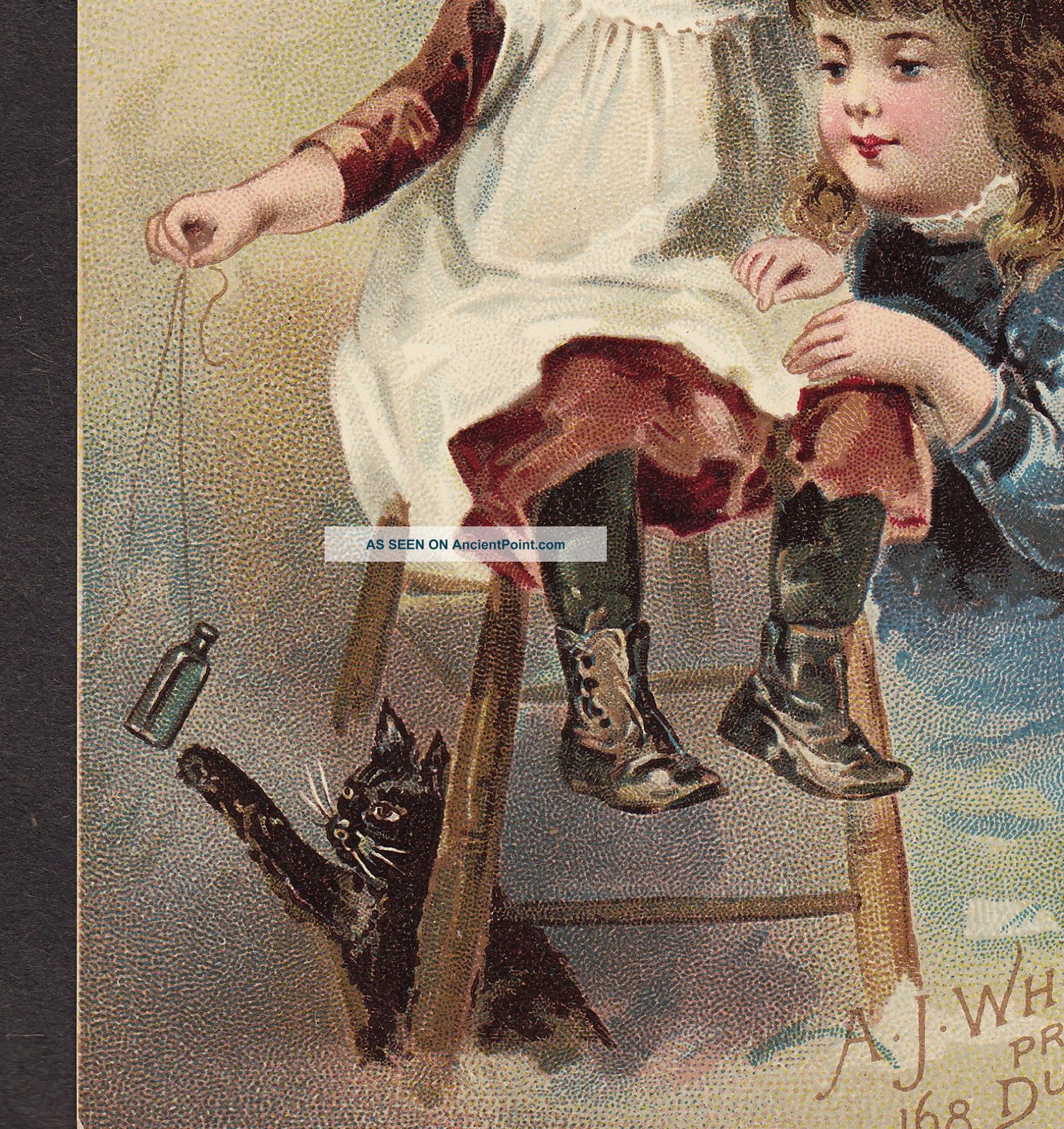 1891 Shaker Extract Of Roots Dyspepsia Cure Aj White Cat Bottle Advertising Card Other photo