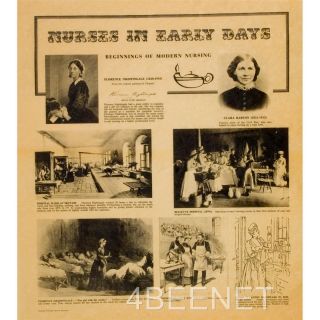 Florence Nightingale & History Of Modern Nursing Rolled Parchment Poster New photo