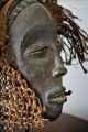 Stunning Chokwe Pwo Mask W/ Magnificent Raffia Headdress African Art (drc) Masks photo 1