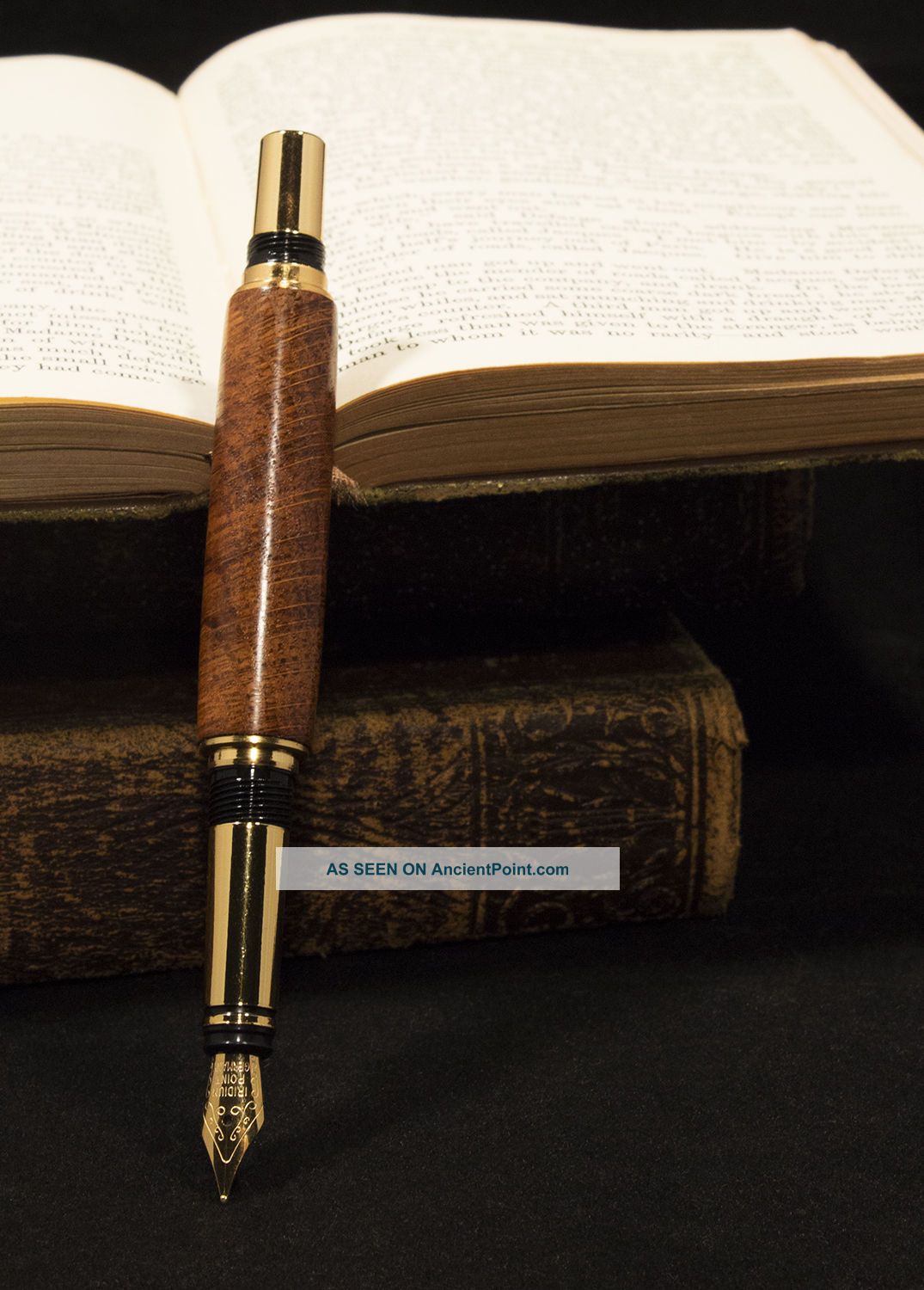 The Brontë Sisters Antique Authenticated  Pen SET 