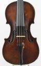 Graciliano Bucci Old Labeled 4/4 Antique Master Violin String photo 2