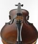 Graciliano Bucci Old Labeled 4/4 Antique Master Violin String photo 4