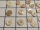 Antique Set 36 Hand Carved Button Pearl Sea Shell Sew Thru 1/2 