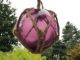 5 Inch Purple Curio Glass Float Ball Buoy Bouy Fishing Net Float Fishing Nets & Floats photo 1