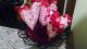 Primitive Valentine Fabric Heart Ornies Wreath Bowl Filler Decorations Primitives photo 2