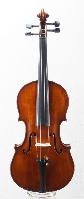Antique Gaetano Antoniazzi Anno 1890 Labeled Italian 4/4 Old Master Violin photo