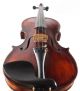Ladislav Prokop Old Labeled Master Violin Antique 4/4 String photo 3