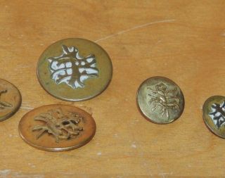 Antique 6 Running Fox Hunting/hunt Club Buttons Brass Superieur France 4 Lg 2 Sm photo