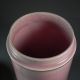 Large Pink Apothecary Jar Salix Nigra Black Willow 10.  5 