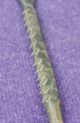 African Or South American Antique Forged Spear Tip 4 Other photo 3