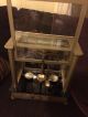 Antique Sargent Apothecary Scale Pharmacy Scientific Early 1900 ' S Metal Case Scales photo 1