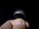 Marvelous Ancient Large Roman Silver Ring With Mercury Intaglio,  100 - 400 Ad. Roman photo 2