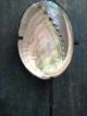 Vintage Abalone Seashell Spoon Folk Art photo 3