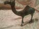 Antique Old Brass Carved Collectible Decorative B Camel Statue Figure India photo 5