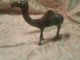 Antique Old Brass Carved Collectible Decorative B Camel Statue Figure India photo 6