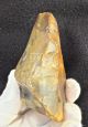 Lower Acheulian,  Partially Bifaced Cleaver,  Found Nr Swanscombe,  Kent,  A404 Neolithic & Paleolithic photo 4
