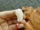 100% Natural Jade Jadeite Handmade Pendant White Flower Ruyi 7401 Necklaces & Pendants photo 1