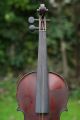 Interesting 19th C.  Antique Michel - Ange Garini Violin Of French Origin C1900 String photo 2