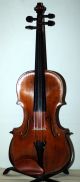 Fine German Antique Hopf Violin,  Built Around 1850 Rare Certificate String photo 1