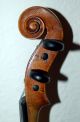 Fine German Antique Hopf Violin,  Built Around 1850 Rare Certificate String photo 2