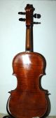 Fine German Antique Hopf Violin,  Built Around 1850 Rare Certificate String photo 4