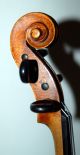Fine German Antique Hopf Violin,  Built Around 1850 Rare Certificate String photo 6